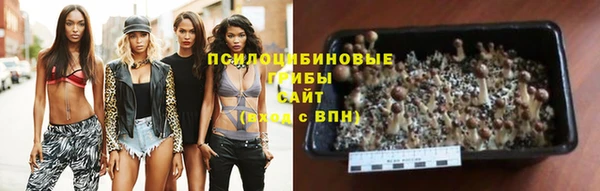 альфа пвп Лагань