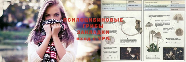 альфа пвп Лагань