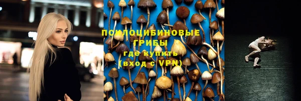 ECSTASY Лабытнанги