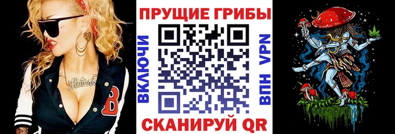 Купить где  Любань  Галлюциногенные грибы Cubensis 